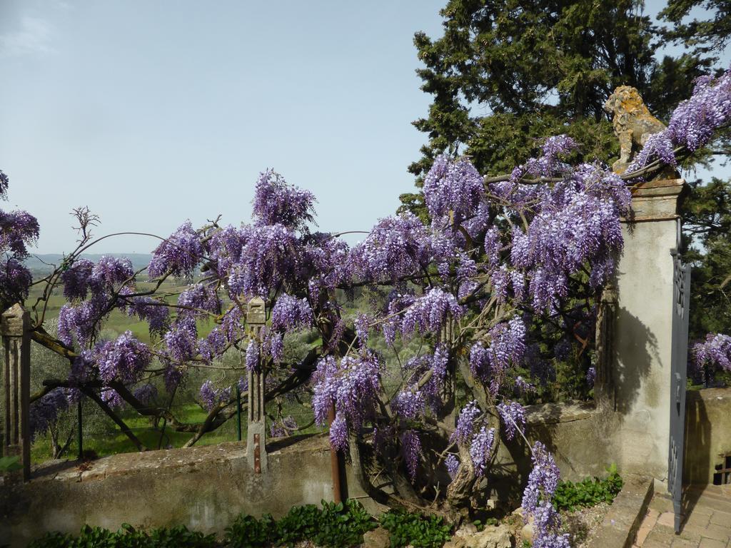 Villa Humbourg Certaldo Bagian luar foto
